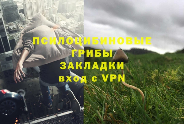 а пвп мука Алексеевка