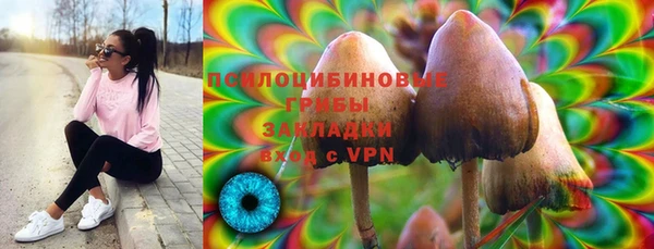 кокс Алексин